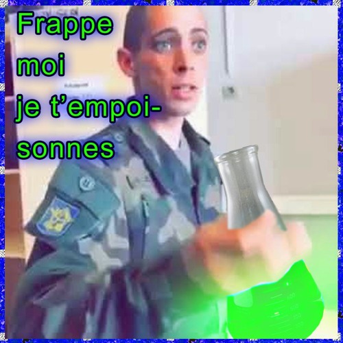 Serge Le Pangolin tweet media