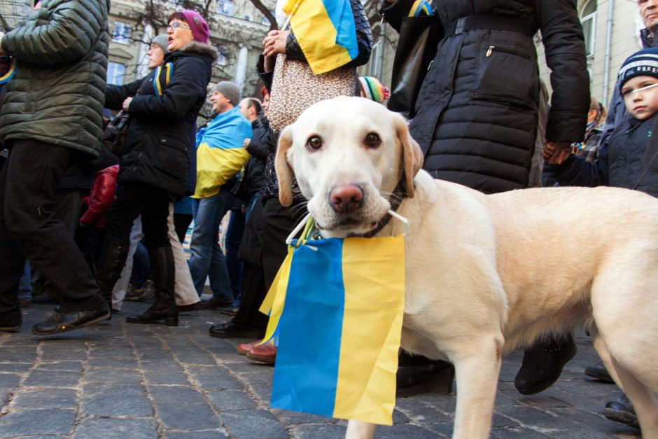 Subharoyvila's tweet photo. Sometimes a picture say more than 1000 words. 🖤

This photo brought tears to my eyes. This picture of today’s peace protest in #Berlin in support of #Ukraine.

Standing up to the pets of Ukraine.
Don’t leave them alone.  🐾🙏🏽 https://t.co/9oezcnusQK