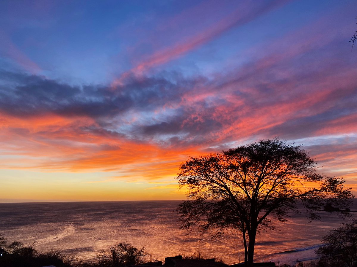 Emily Cordes tweet media