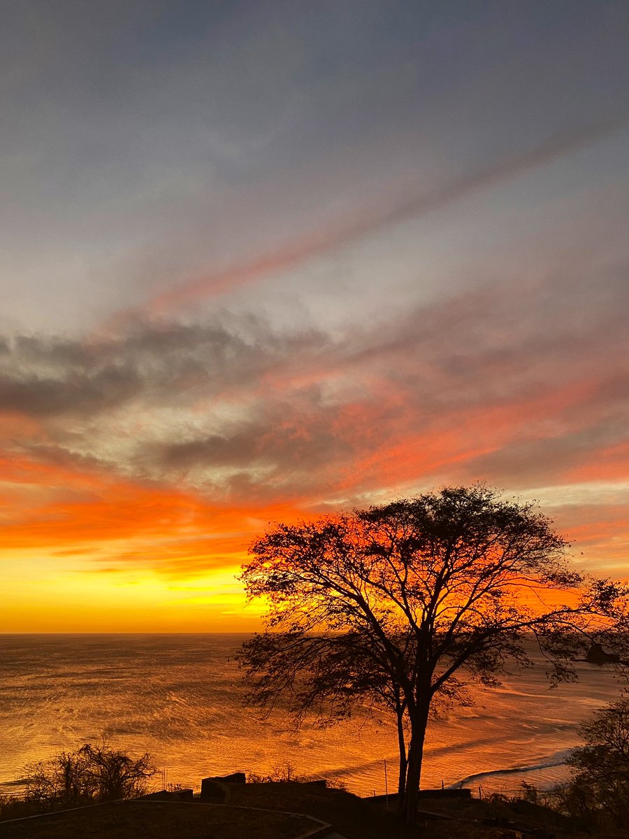 Emily Cordes tweet media