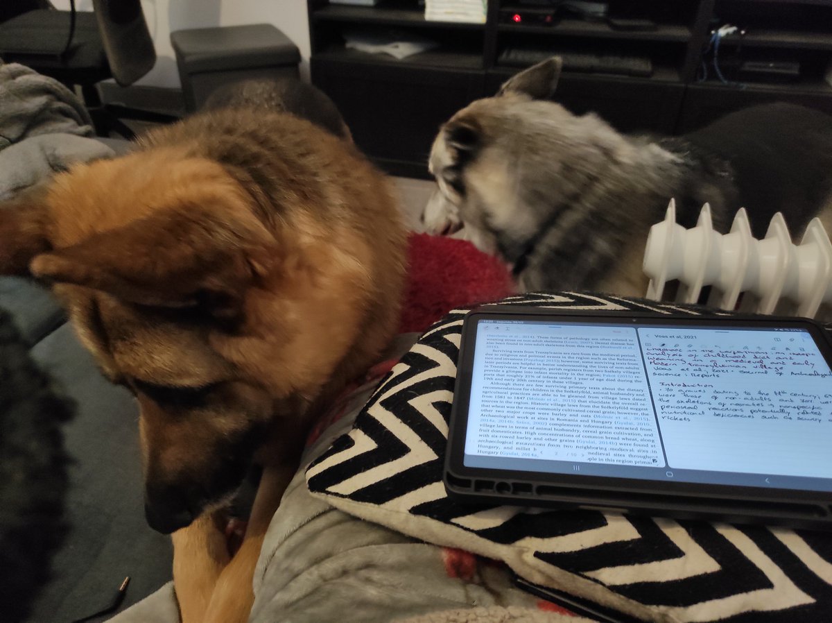 Try to work from home 😅 they do shifts🐶❤️