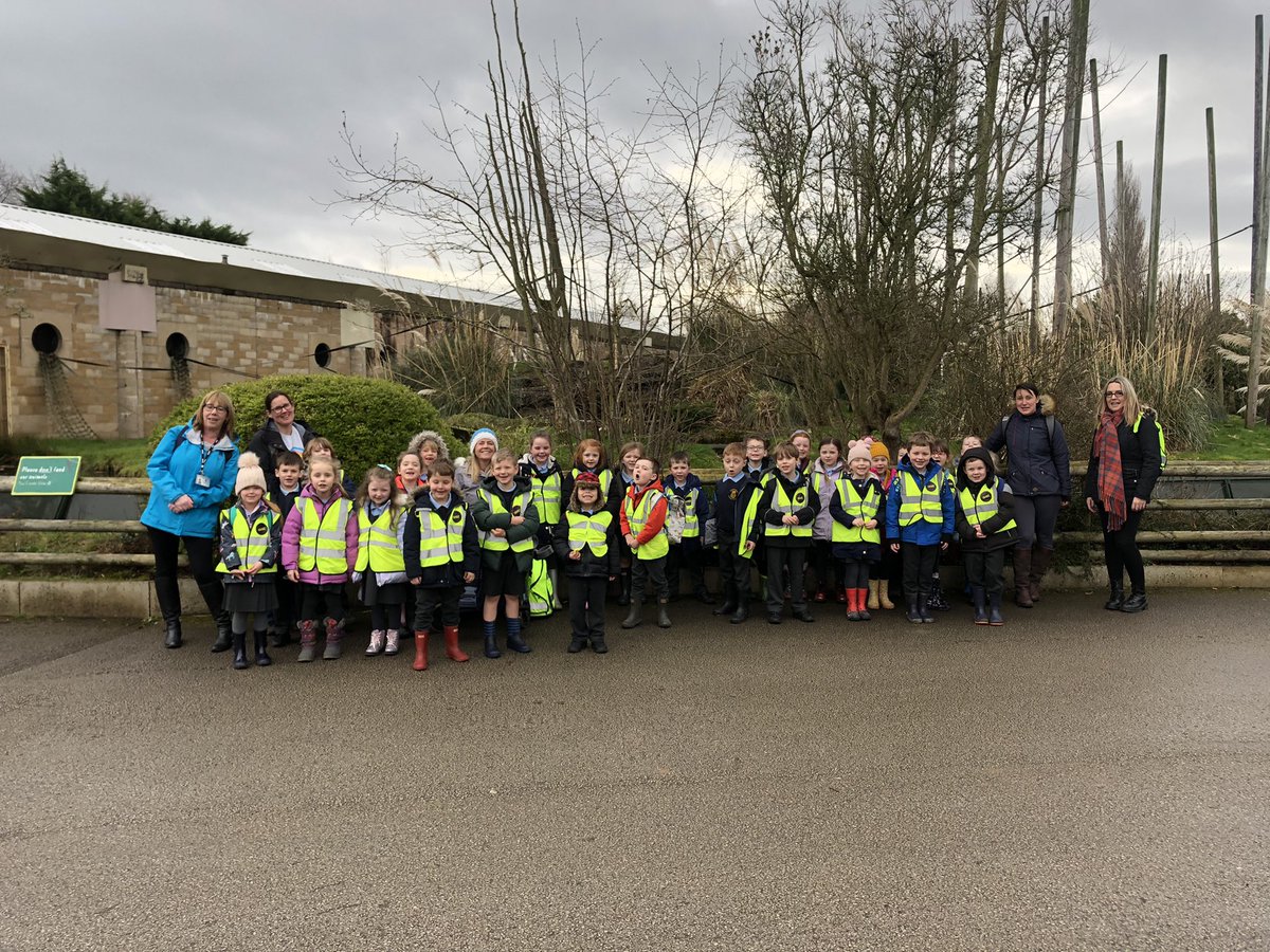 Mrs Wills tweet media