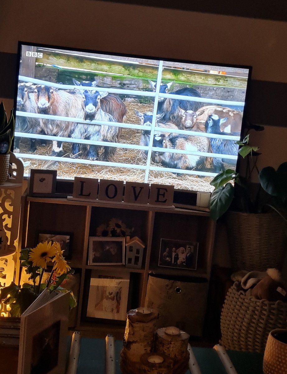 Lauren Codling tweet media