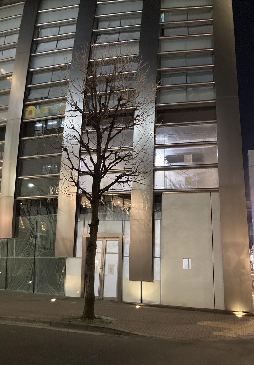 GRANDgurant's tweet photo. 月曜からオスとして強いのが良いという価値観が残っている飲み会帰りですが、ヴェロックス照明ついて工事してるけど、ついにテナント決まったの？ https://t.co/vStTAvQ6G6