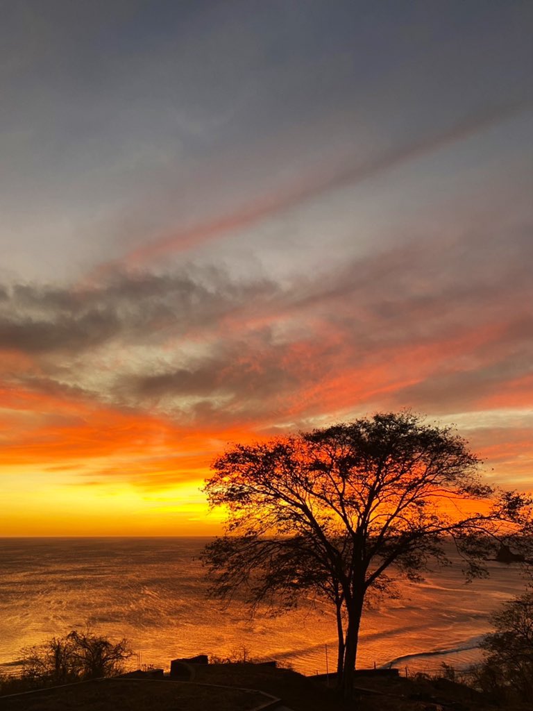 Emily Cordes tweet media