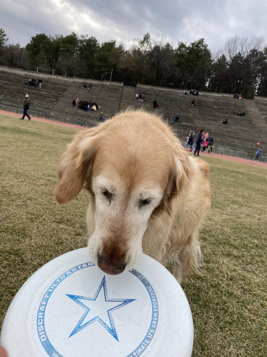 dün devrimde izlemekle kalmayıp bize katılmak isteyen bi bebis 🥺