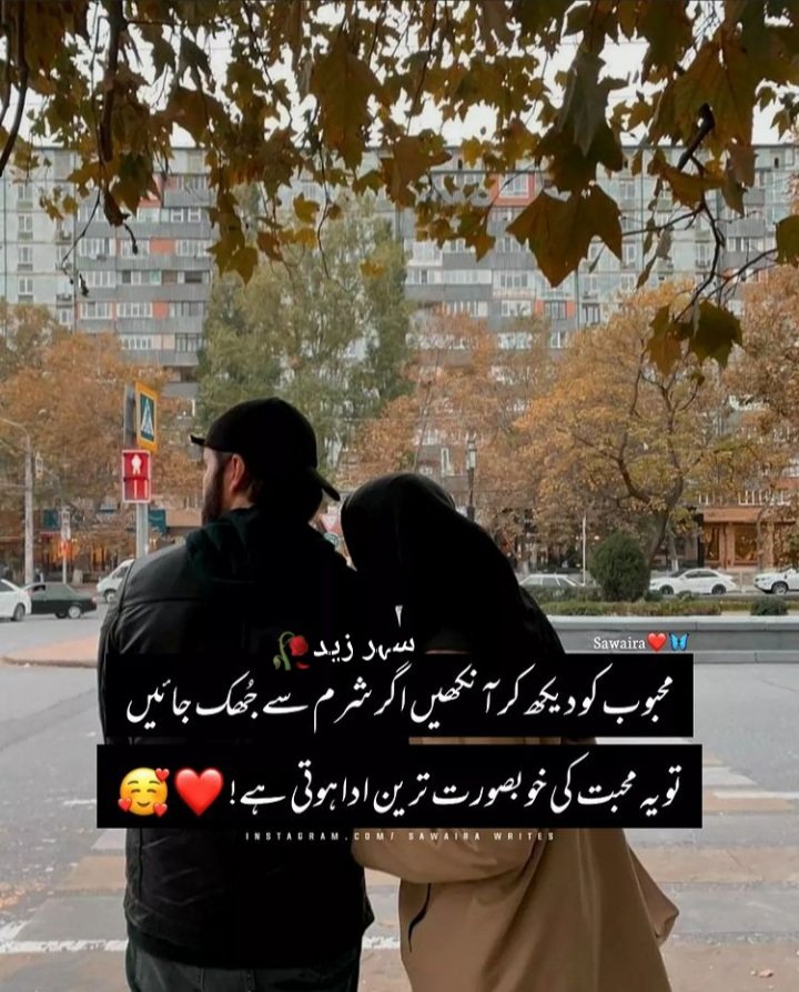 sehrzaid's tweet photo. 😍🖤🥀 https://t.co/aeCFUjpPxW