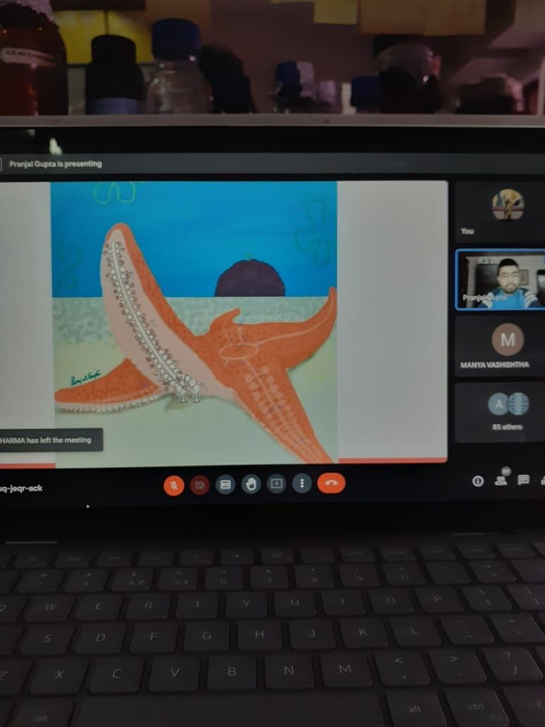 pg134gupta's tweet photo. Done with my second #scienceillustration #workshop  for alongside the amazing @ipsawonders @SarahHyder   #NationalScienceDay2022 organized by Tricord @mirandahouse_, supported by @India_Alliance; Image courtesy: @ Anjali Singh #scienceeducation #sciencelearning https://t.co/qZ8msNRinO