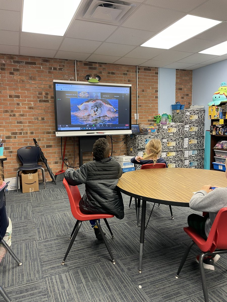 mschamberlain18's tweet photo. Thank you @NCAquariumatPKS for the read aloud and behind the scenes with the sea turtles 🐢 my little Ks @SBESPirates loved it!! #ReadAcrossAmerica https://t.co/J9uZoBPAg9