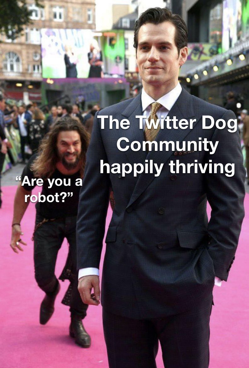 🤖#twitterdogcommunity #WoofNotTweet #dogsoftwitter #twitterdog