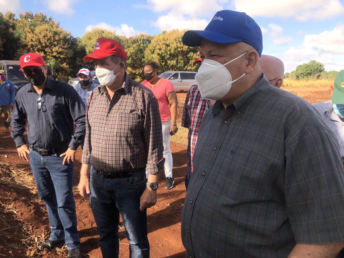 siberiareporta's tweet photo. #CiegodeAvila Recorre el viceprimer ministro Jorge Luis Tapia Fonseca, áreas de la Empresa Agropecuaria La Cuba, entidad que en dos años espera multiplicar por cinco sus hectáreas de plátano.Allí germinan los colectivos laborales, una medida que  incentiva el trabajo en el surco https://t.co/mhfIm3YtBc