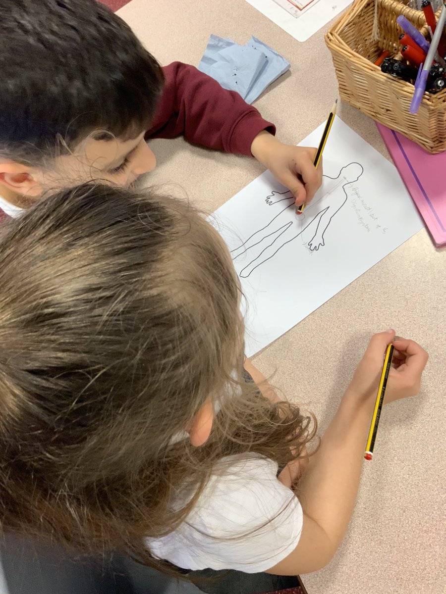ABCPschool's tweet photo. #Class34W are discussing the digestive system for the first time today and are having a go at labelling anything they think is involved in the process ahead of learning about it in our next lesson #ABscience https://t.co/hZejhXVecx