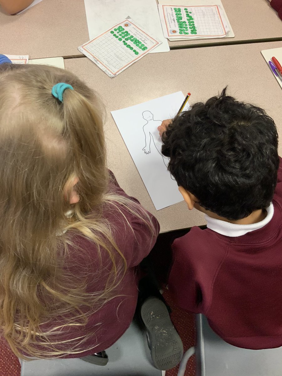 ABCPschool's tweet photo. #Class34W are discussing the digestive system for the first time today and are having a go at labelling anything they think is involved in the process ahead of learning about it in our next lesson #ABscience https://t.co/hZejhXVecx