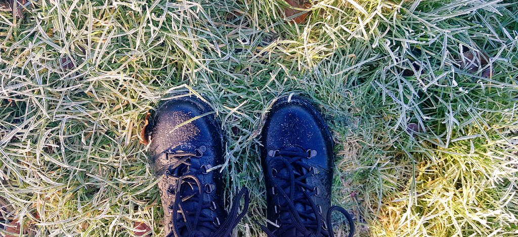 Jane Smith tweet media