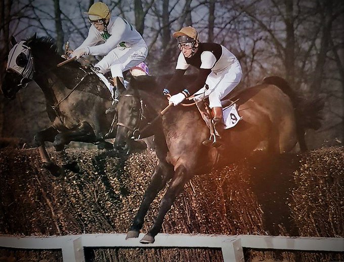 MikeWass2's tweet photo. OTD 1980 the much adored 18-year-old Sonny Sommers (Ben De Haan) won for the final time @LingfieldPark. Trained by the maestro Fred Winter he won 26 races & finished runner-up to The Laird in the Cathcart Chase at the #CheltenhamFestival in 1971. 🏇👏 #StableStar #RacingMemories https://t.co/mfsAO0Df2N