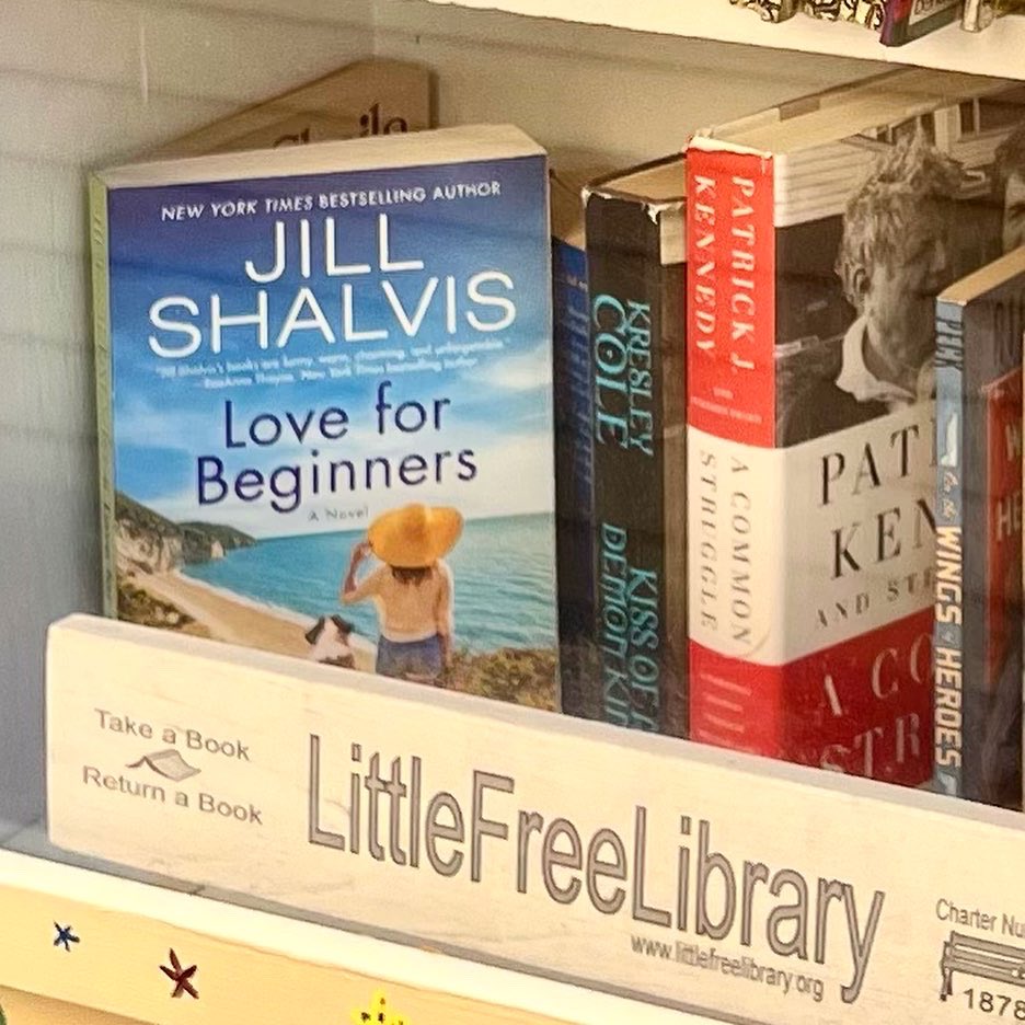 JillShalvis's tweet photo. When you find yourself in a super cute #littlefreelibrary! #rainydayfriends  @avonbooks @williammorrowbooks https://t.co/b0jmmknWdK