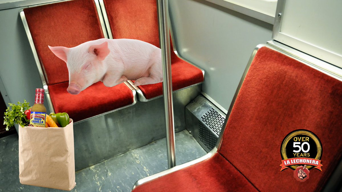MojoLechonera's tweet photo. Happy #NationalSleepingInPublicDay!
Who knew there was a day for sleeping wherever (or whenever) you want? 😴 It’s definitely a holiday we can get behind, especially on a Monday!
#ObeyThePig and catch your 💤's!
#OriginalMojo #CubanCooking #FlavorsThatExcite #MojoCriollo https://t.co/iKT5vTjg79