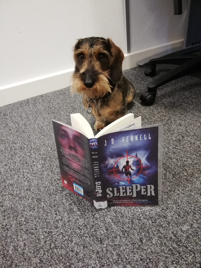 CcgLibrary's tweet photo. We are launching #ReadingAhead today! Just read six things and record them in your diary to win prizes and discover the joy of reading. Our theme this year is #BooksAndBeasts so take a picture of your pet reading and send it to us! https://t.co/JvruczjUfG