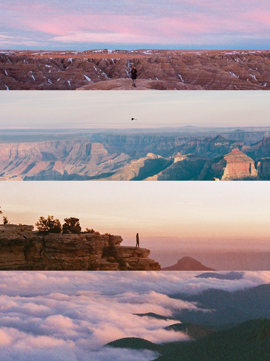 photos i took on a $13 film camera