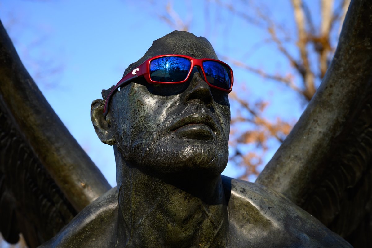 DixPark's tweet photo. Last day to Enter and Vote in the #WingsOfRAL Photo Contest!

Post your photo of the Wings of the City sculptures in #DixPark on Instagram, (following all the contest rules) and encourage friends and family to vote for your photo at: https://t.co/UAxRrMrjaD.

📷: David Brody https://t.co/kP6qu1AAlU