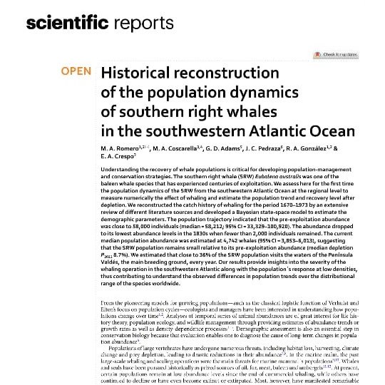 maromero2626's tweet photo. Our latest research on southern right whales has just been published with @SpringerNature in @SciReports. Read and share here: https://t.co/yrf81C2qGy https://t.co/kwxnVjju79