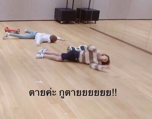กุไม่อยากเลือกเมนแล้วกุรักทุกคน tweet media