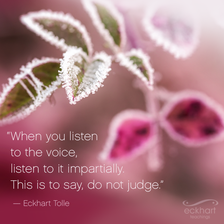 EckhartTolle tweet picture