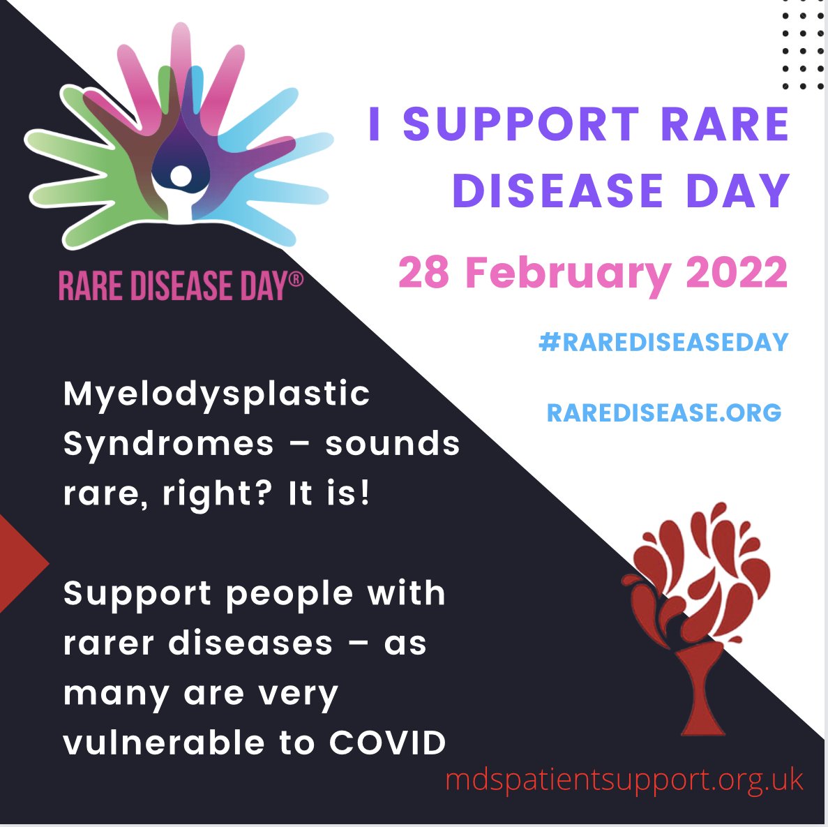 mdsukoxford's tweet photo. #RareDisease charities don't get the media coverage, funds, marathon places or supporters enjoyed by many of the larger charities, but we still offer support to many thousands of people each year #rarediseaseday #MDS @MDS_UK @MDSAlliance https://t.co/00J4ZdqwyE