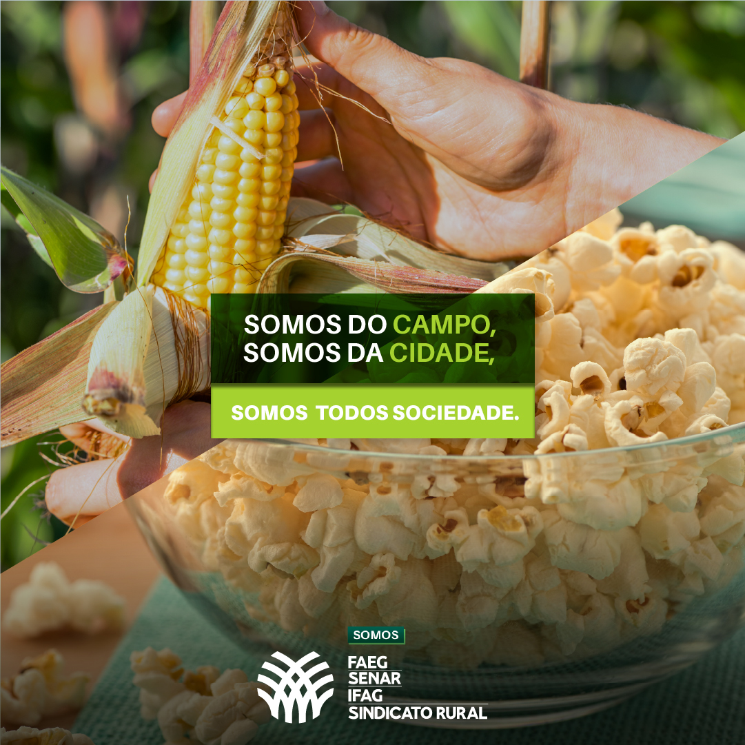 SistemaFaeg's tweet photo. 🌾💚É no #campo que se planta com amor e colhe com esperança. Nós apoiamos, acreditamos e representamos os produtores rurais que nos abençoam diariamente colocando em nossas mesas tantos alimentos.
#SistemaFaeg #SenarGoias #campo #cidade https://t.co/tv5p2z1JcT