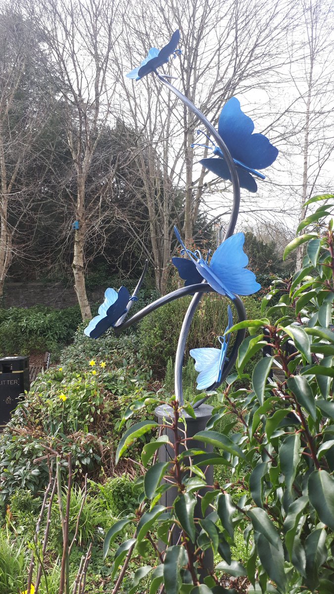 RLeixlip's tweet photo. Spring has sprung around Leixlip! https://t.co/HJAtI3kZ42