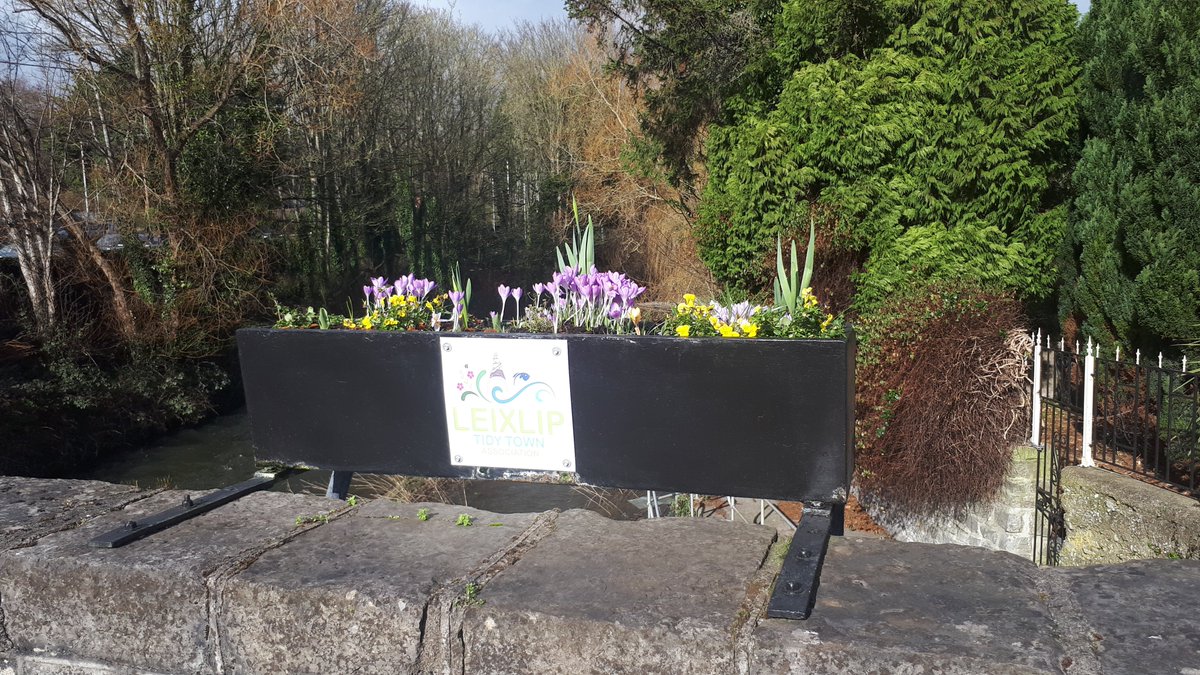 RLeixlip's tweet photo. Spring has sprung around Leixlip! https://t.co/HJAtI3kZ42
