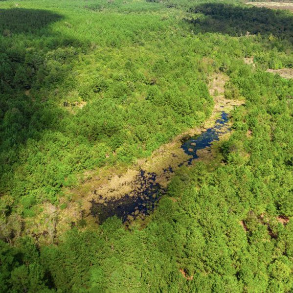 duPerierTLM's tweet photo. 600 ac Cherokee Ranch - This 600 acre ranch located in the Piney Woods of East Texas contains a nice balance of high ground and low ground, contributing to a great diversity of topography, flora, fauna, and potential for improvement.
Visit https://t.co/FKOItVmZXd
#ranchrealestate https://t.co/mhdbFB7Zia