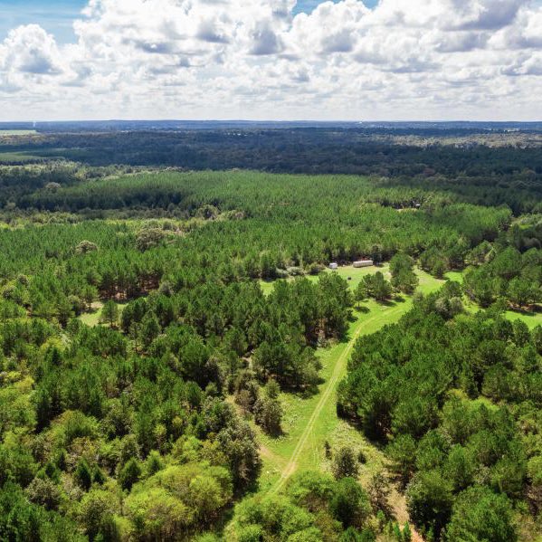 duPerierTLM's tweet photo. 600 ac Cherokee Ranch - This 600 acre ranch located in the Piney Woods of East Texas contains a nice balance of high ground and low ground, contributing to a great diversity of topography, flora, fauna, and potential for improvement.
Visit https://t.co/FKOItVmZXd
#ranchrealestate https://t.co/mhdbFB7Zia