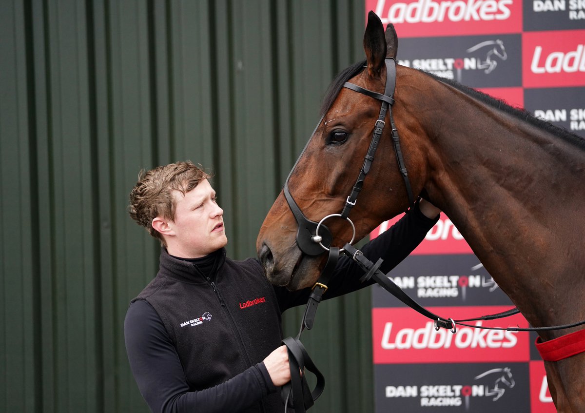AtTheRaces's tweet photo. Shan Blue at @DSkeltonRacing's earlier today 😍 https://t.co/yR1kTuLGu2