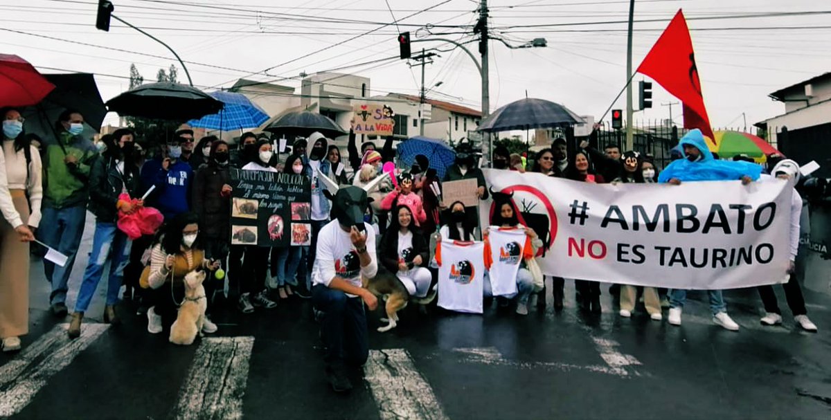 PAEecuador's tweet photo. 🟢 Activistas en las calles de Ambato exigiendo que la barbarie de las corridas de toros se acaben de una vez. El 70% de ambateños está en contra de la tortura animal. #TauromaquiaNuncaMas #AbolicionEsEvolucion https://t.co/NpsU9Zlak2