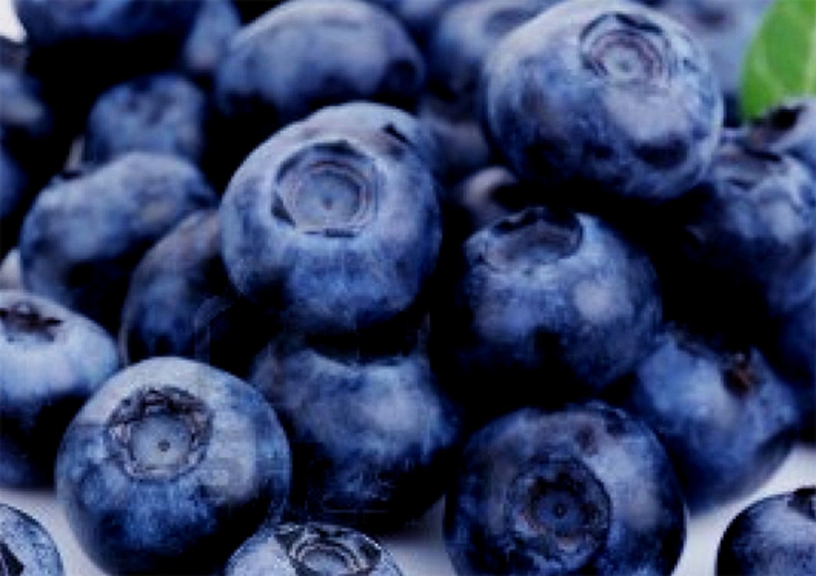 VRural's tweet photo. EMPRESAS 🆕 #AgrichemBio amplía la etiqueta de su #biofungicida #Actileaf. 🍓

Entre sus características, destaca su modo de acción múltiple y su efecto #bioestimulante.

Más información ⬇️
https://t.co/45wVIEiChV

#Agricultura #AgriculturaEcológica https://t.co/GMFdyqhmFO