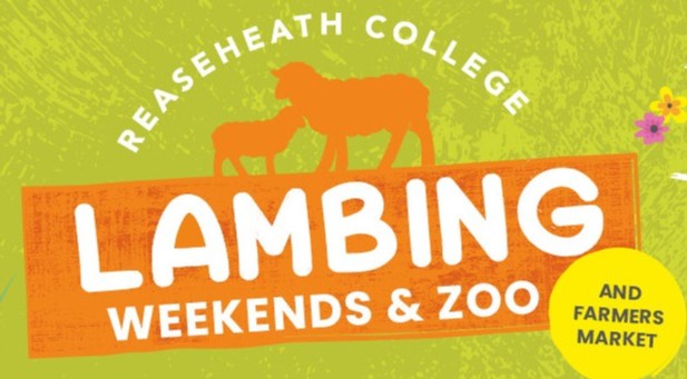 ReaseheathZoo's tweet photo. Are you planning on visiting us on the 5th, 6th, 12th or 13th of March? We have a special Lambing and Zoo event, and the entrance fee includes a visit to the zoo! Have a look here for more details and to book: https://t.co/M34XPbDnJY 
#lambing #cheshire #zoo @Reaseheath https://t.co/y7i6yowBNj