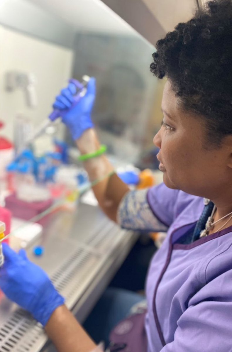 WCMEnglanderIPM's tweet photo. We're hiring!

We have a number of exciting new career opportunities, including a two-year Research Clinical Fellowship in #PrecisionMedicine and a Laboratory Administrative Assistant. 

Thank you for applying and circulating within your networks.

https://t.co/IYh5Uk3pTb https://t.co/o6bxUfhbNQ