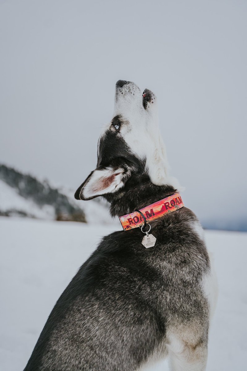 McKinley & Keely tweet media