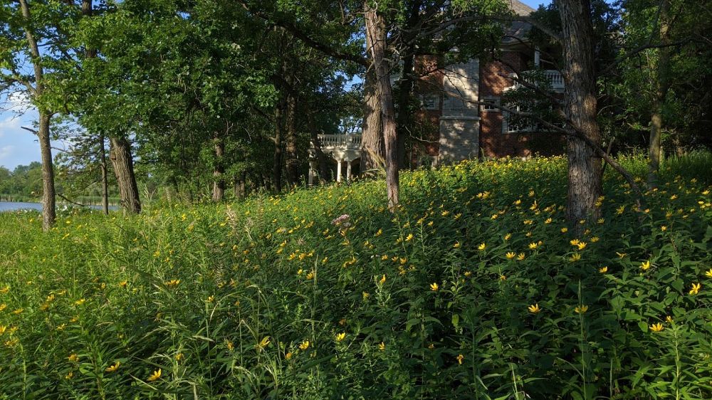 #Sustainable landscapes can enhance your property's appeal while:

♻️ Benefiting the environment
🌿 Requiring less maintenance
🌻 Retaining a natural look

Call or click to learn more about our #SustainableLandscape installations today! 📱 815-247-4457

pizzo.info/sustainable-la…