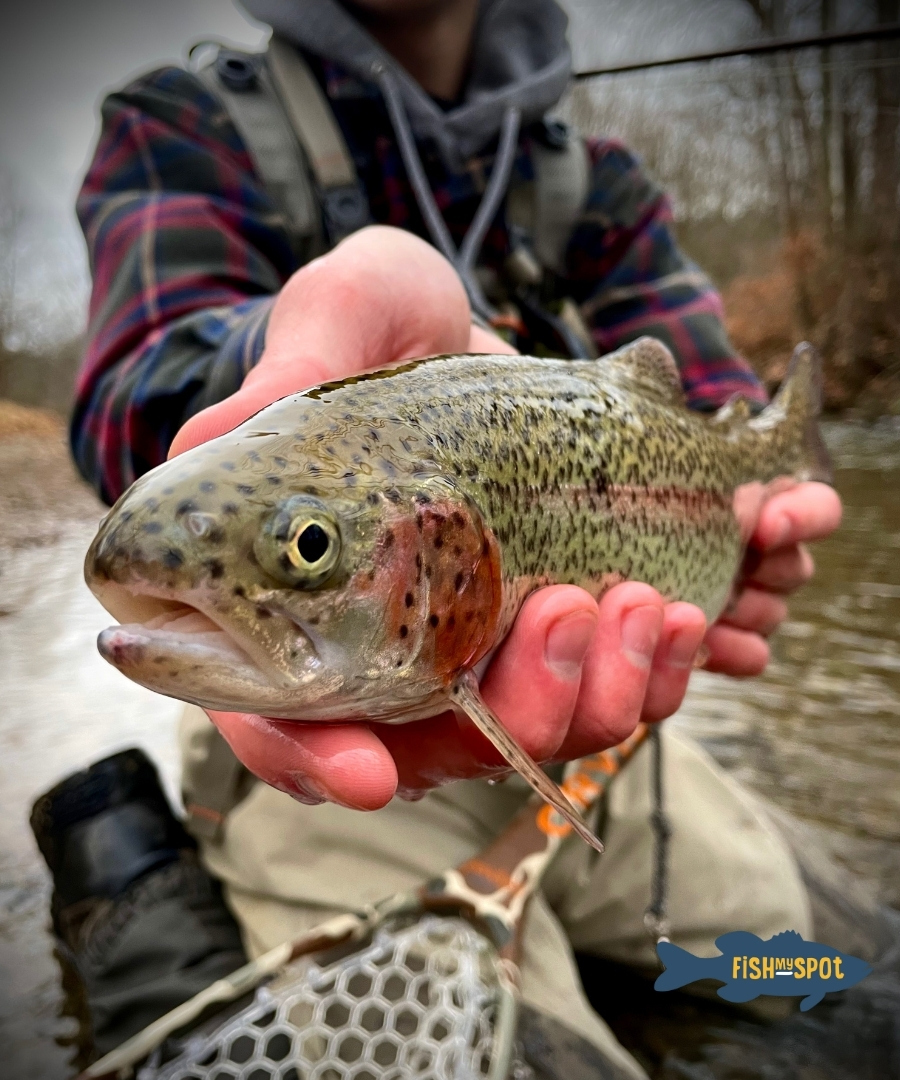 FishMySpot's tweet photo. "Fishing is more than fish. It is a vitalizing lure to outdoor life." 
-Herbert Hoover 

We agree, Herbert, we agree. #fishmyspot #fishing #gofish #fishinglife #fishon #MondayMorningQuote https://t.co/xavdn4W9f2