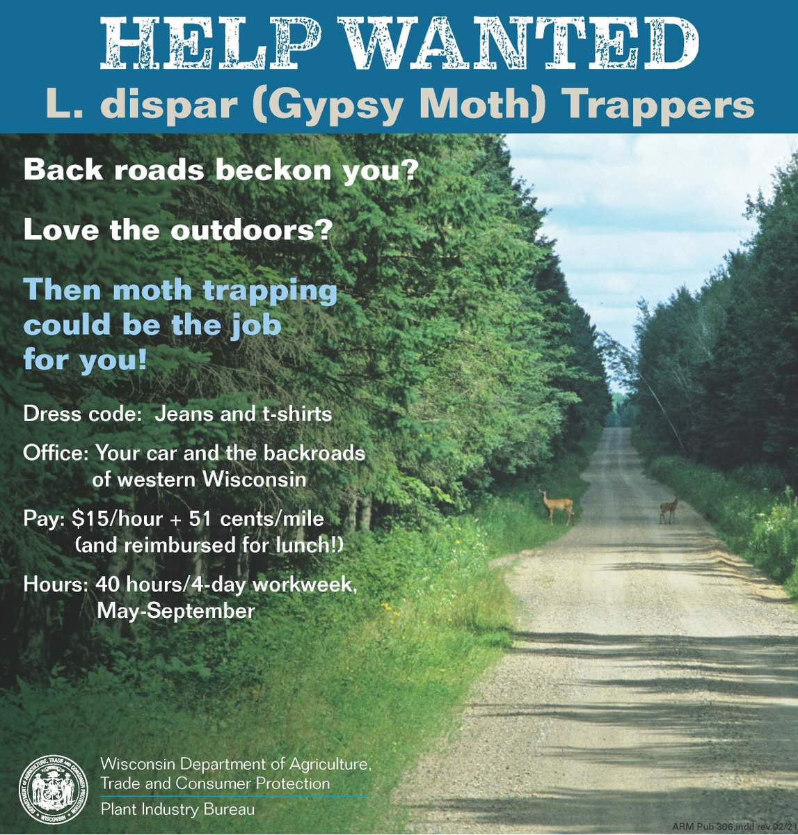 WDatcp's tweet photo. JOB OPPORTUNITY - Love the outdoors? Want to help protect our forests? DATCP’s Plant Industry Bureau is recruiting multiple L. dispar (gypsy moth) trappers for the upcoming 2022 season. Read the full position description and apply here: https://t.co/SN5blYsBbq https://t.co/cFgLhDt2PR