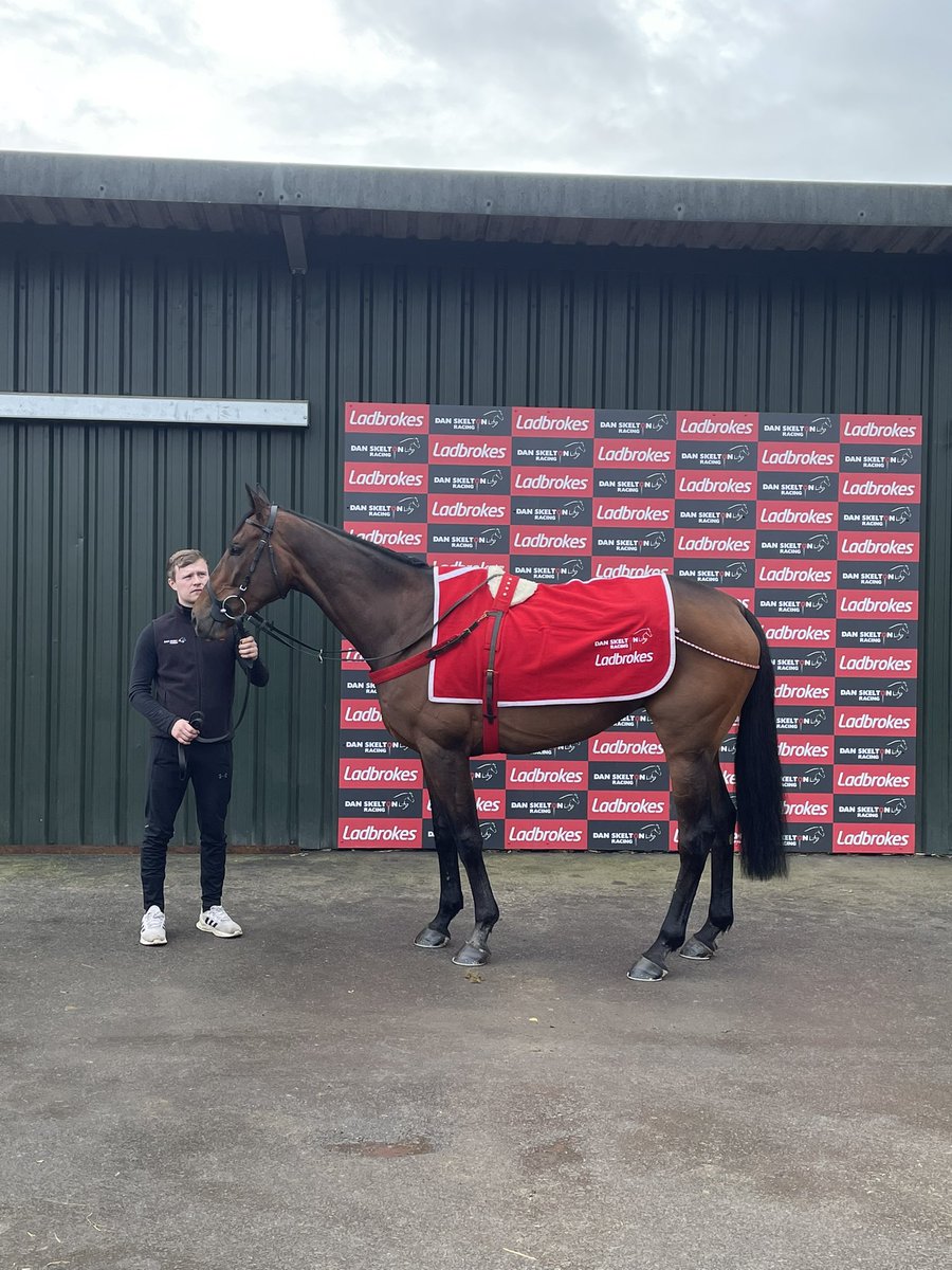 RacingTV's tweet photo. Ryanair Chase contender Shan Blue this morning 😍

Will @DSkeltonRacing’s charge gain compensation at the Cheltenham Festival following his Charlie Hall Chase mishap earlier this season? 🤔 https://t.co/EBJoMFWSQF