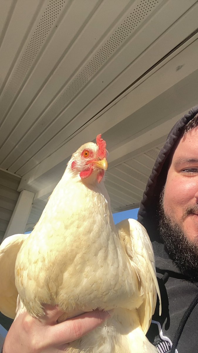 lukemorty's tweet photo. The neighbors came to visit this morning https://t.co/X2OSgTQrKu