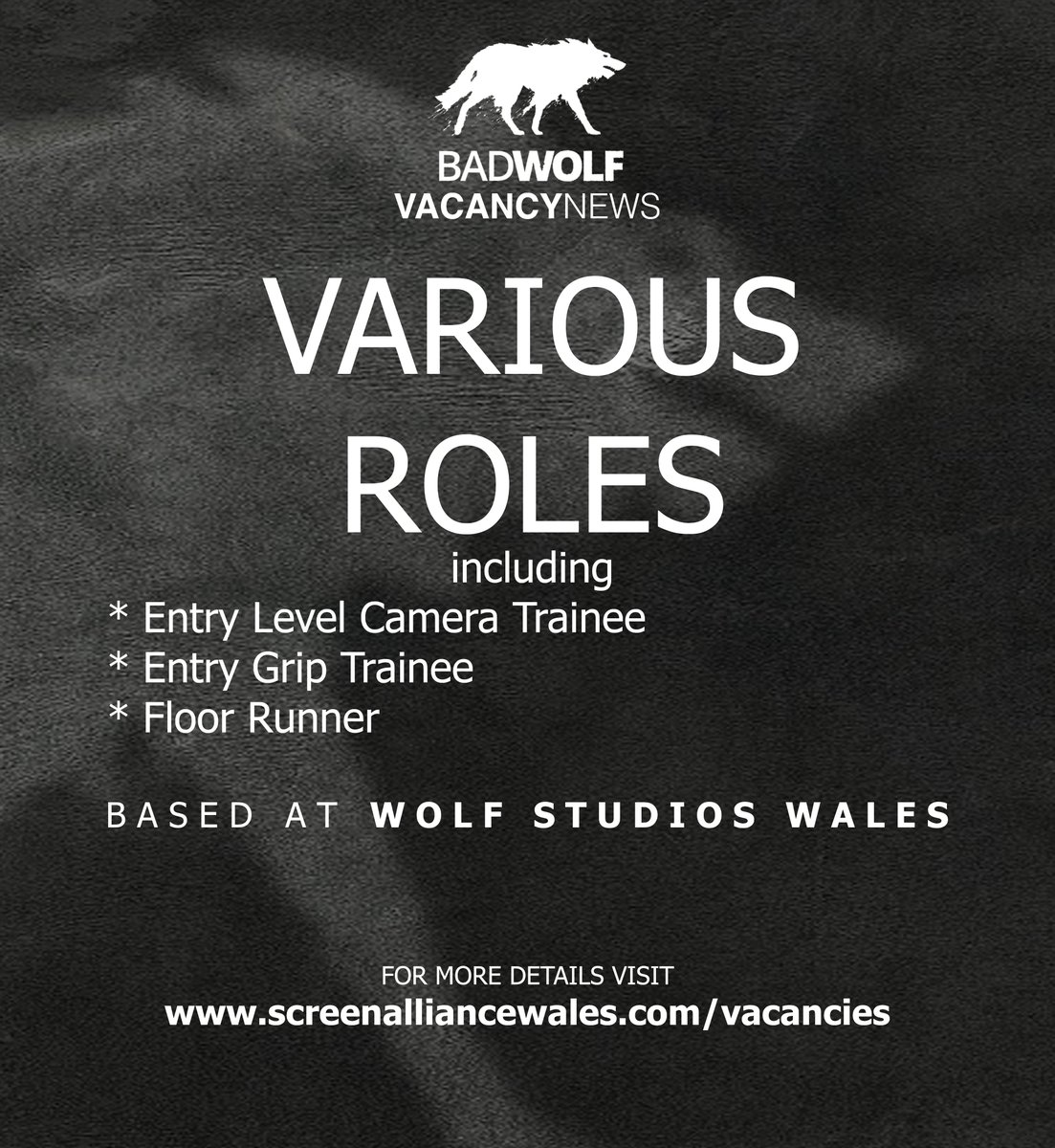 ScreenAllianceW's tweet image. We have a whole host of exciting new opportunities with @BadWolf on our website, including:
* Entry-Level Camera Trainee
* Entry-Level Grip
* Floor Runner

Visit our website today for further details
@eystwales 
@ReflectCulture 
@USWFilm 
@ColegyCymoedd