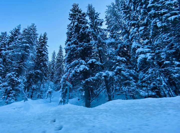 clorinda_ferral's tweet photo. Myrkdalan skiresort....las  tierras nórdicas son siempre hermosas y el mejor regalo es tener un poco de 🌞. Comenzamos el #winterbrake!🎿🇧🇻❤❄🛷⛷🏂 https://t.co/zKU1rt5eqp