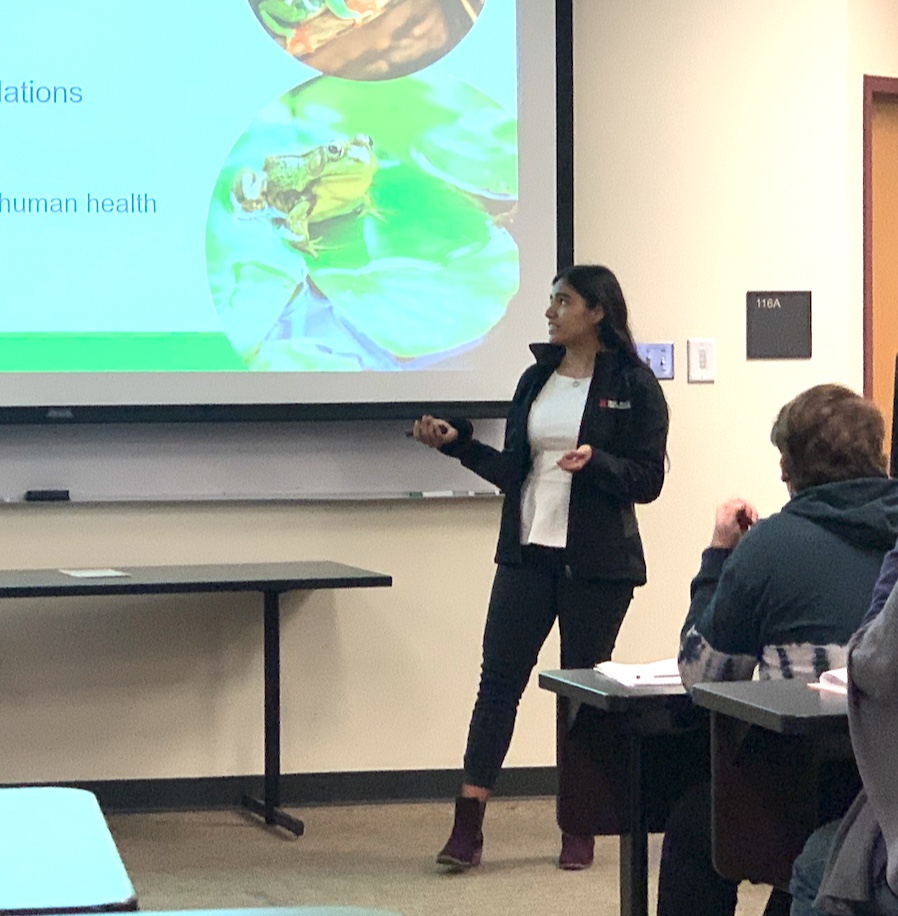 texcroc's tweet photo. I think the #RDZLab did alright at our student colloquium on Fri...Tori 🥇UG pres., Monica @wildlifemoon 🥇MS pres., Mar @anuradelmar 🥇 PhD pres., plus nice talks from Chloe and Tristan. Proud them for doing great but also for supporting each other 🥳🐸 #txstbio #txst #LatinxPI https://t.co/M4pt5HmUNM