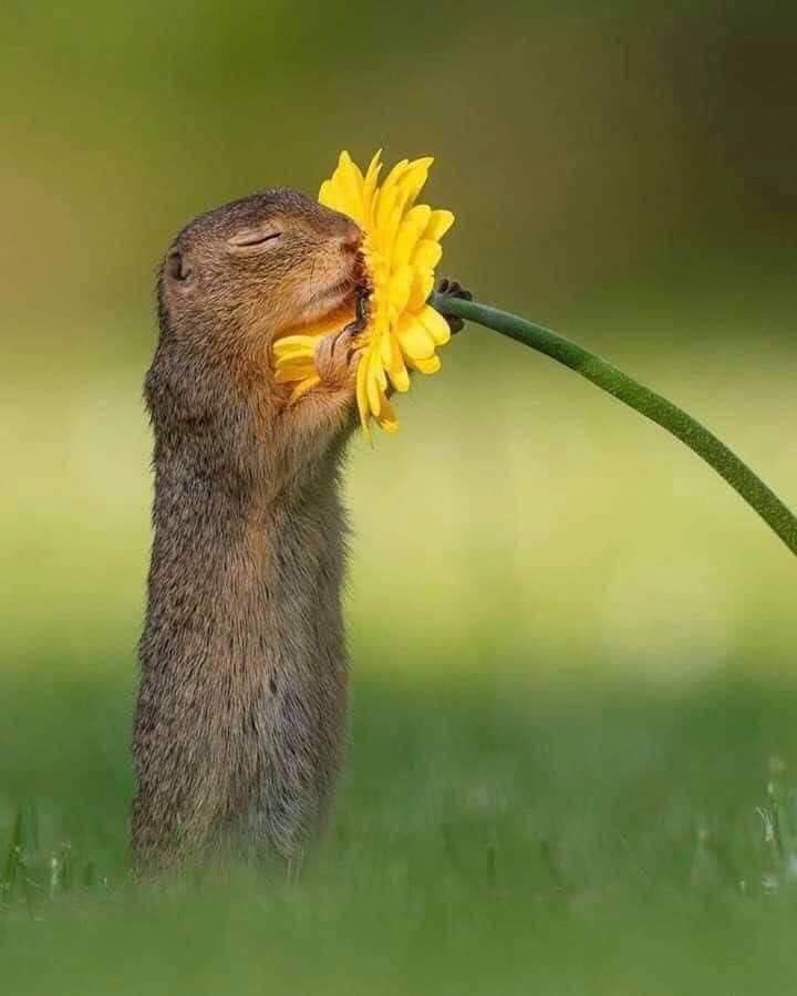 samowencoaching's tweet photo. #gratitude
#inthepresent
#cutie https://t.co/dC1439xoEp