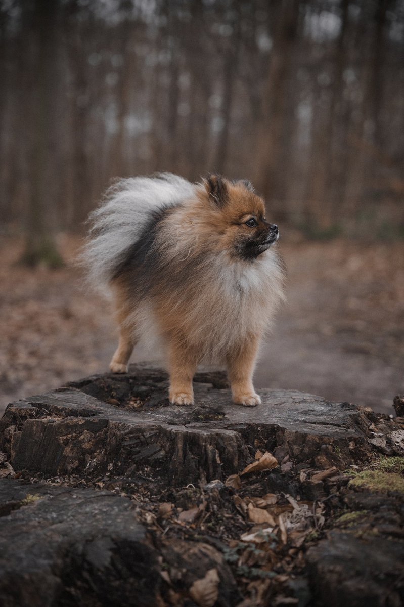 BUBBLES ♀ tweet media