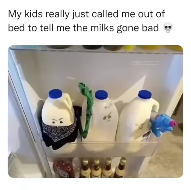 WholesomeMeme's tweet photo. https://t.co/7K5q0S9hmj